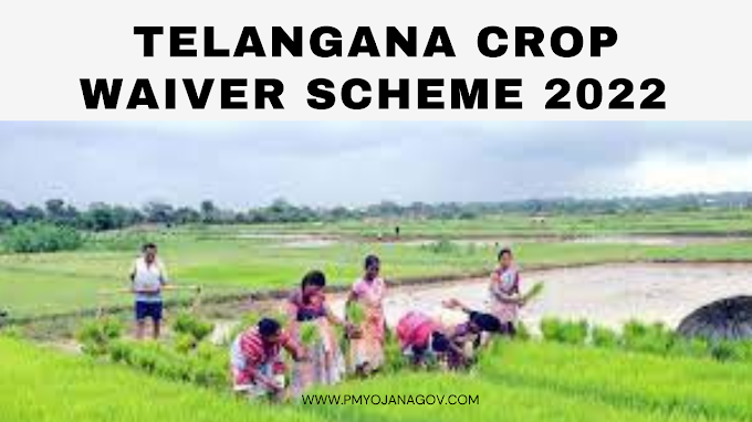Telangana Crop Loan Waiver Scheme 2022: Crop Loan Details,  Registration & Guidelines, clw.telangana.gov.in