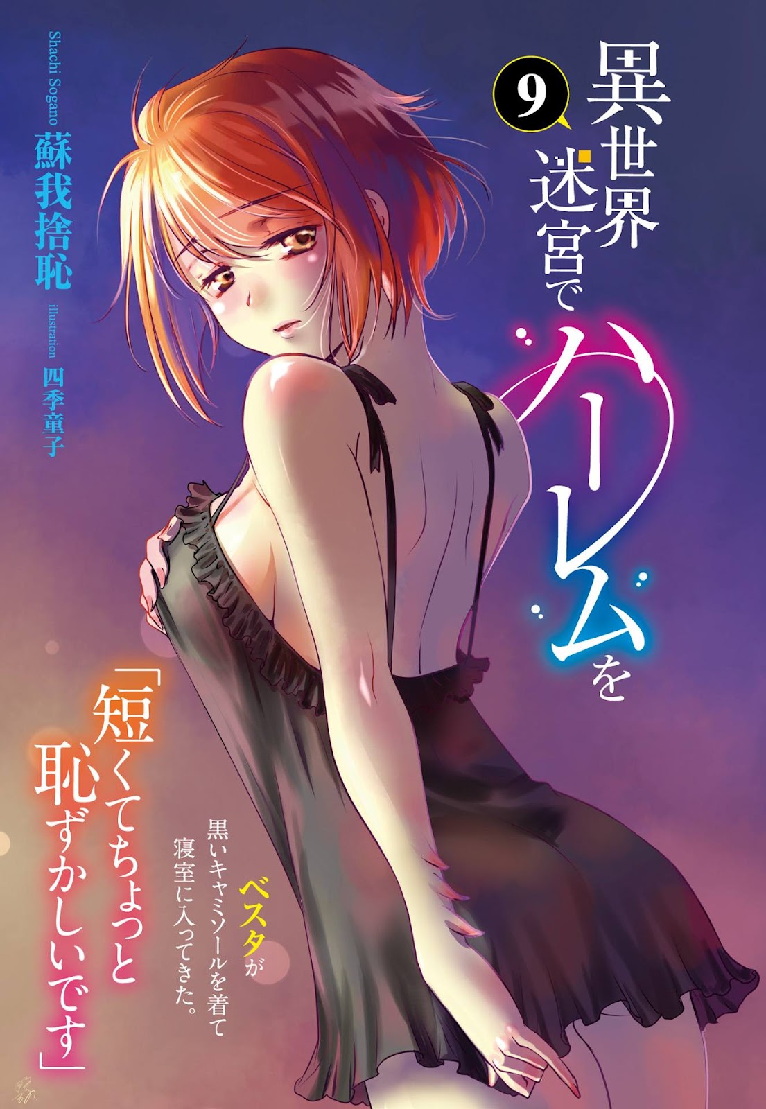 [Ruidrive] - Ilustrasi Light Novel Isekai Meikyuu De Dorei Harem - Volume 09 - 02