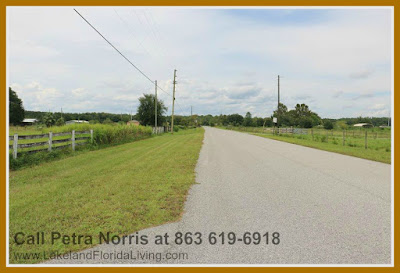 Animal lovers will surely appreciate and enjoy this stable perfect for their pets in this home for sale in Kathleen FL. 
