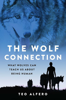 thoughts on The Wolf Connection by Teo Alfero