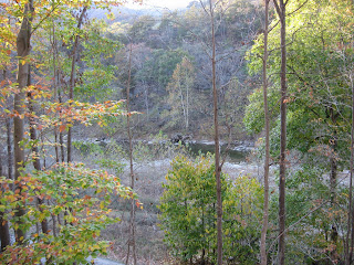 View from front of cabin, North Fork River