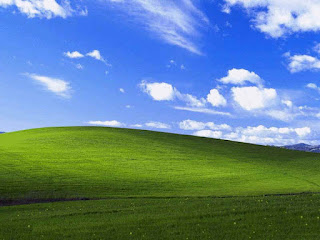 window xp nature wallpapers