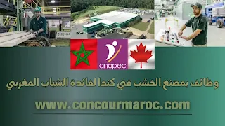 وظائف بمصنع الخشب في كندا لفائدة الشباب المغربي 2024