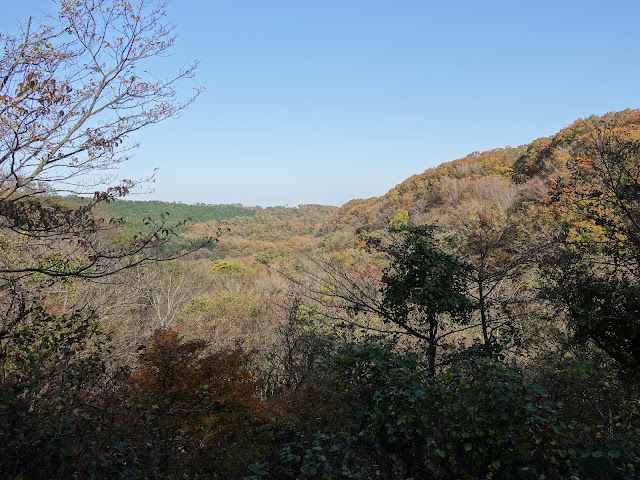 帰るみちすがら紅葉が綺麗です　鳥取県西伯郡大山町大山の大山環状道路