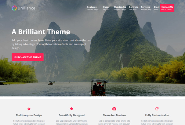 Brilliance Multipurpose Wp Theme 