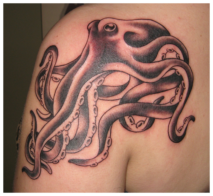 Popular Octopus Tattoo Designs