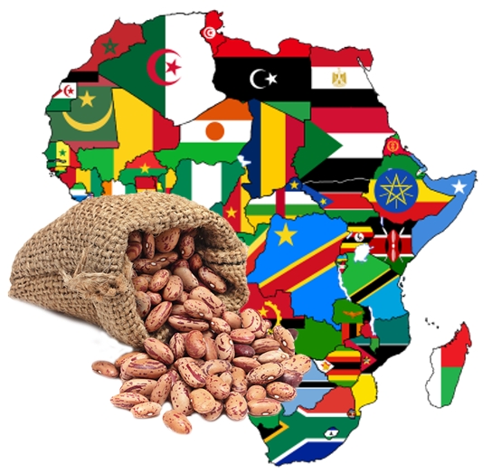 Importância da Cultura do Feijão Para a Economia da África