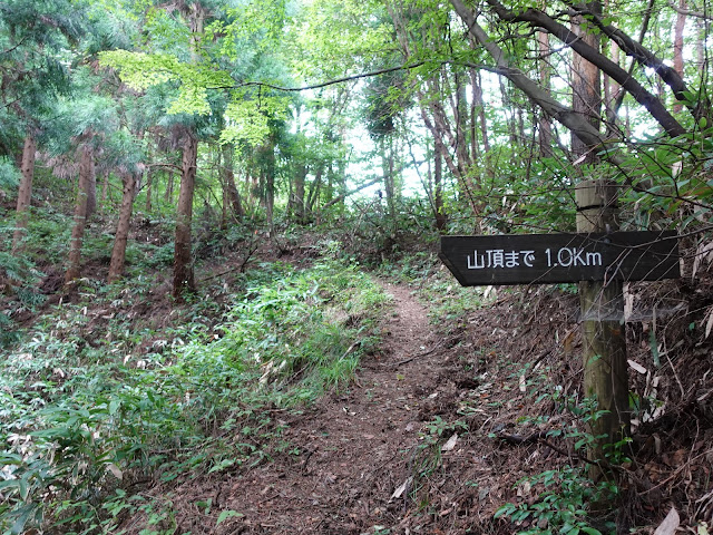 鳥取県西伯郡南部町東上の鎌倉山に登ります