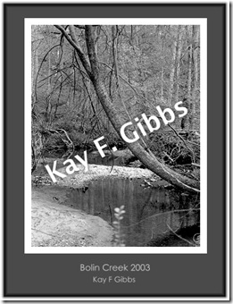 Copy of BOLIN CREEK 2003