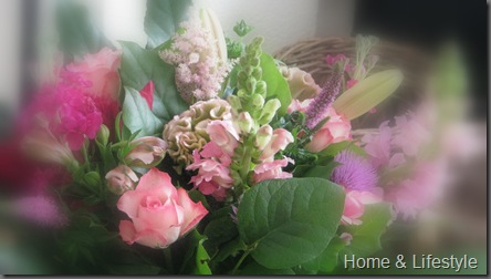 Home & Lifestyle