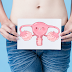 Decodifican por primera vez el comportamiento celular del endometrio humano