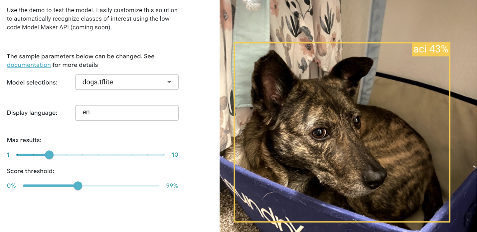 Image showing screen grab of author testing the score threshold of the model with a photo of the author's pet sitting in a box. the model has identified the photo with 43% confidence