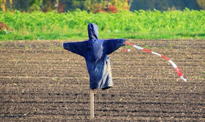 Pemanfaatan Sumber Daya Udara di Lingkungan Sekitar