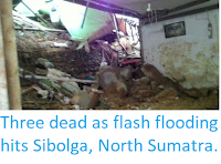 https://sciencythoughts.blogspot.com/2018/03/three-dead-as-flash-flooding-hits.html