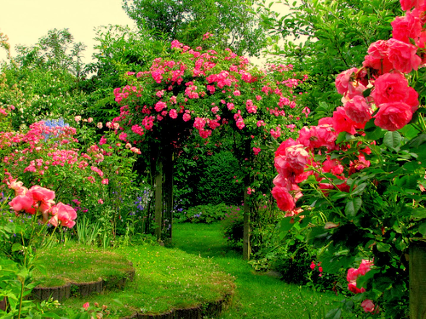 Rose Garden Wallpaper