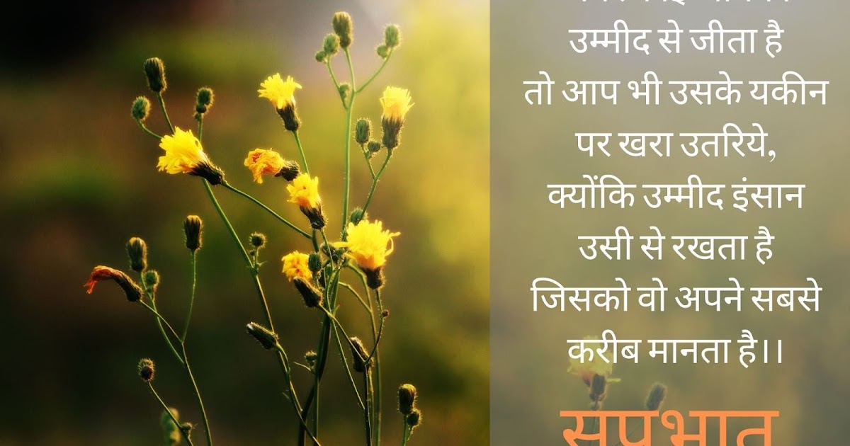 Good Morning Quotes In Hindi