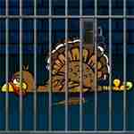 Turkey On Jail Games2rule