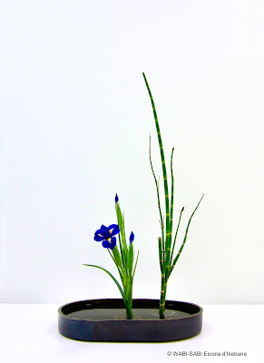 Ikebana-shoka-shofutai-wabisabi-escoladikebana