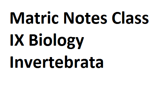 Matric Notes Class IX Biology Invertebrata matricnotes0