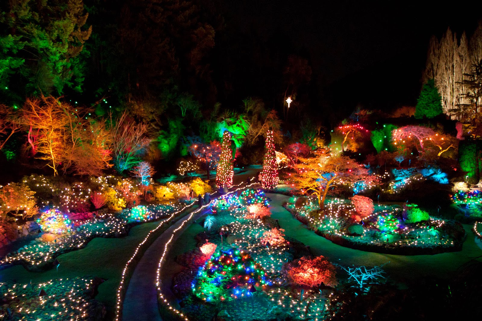 Evening photo Christmas  lights at Butchart Gardens 