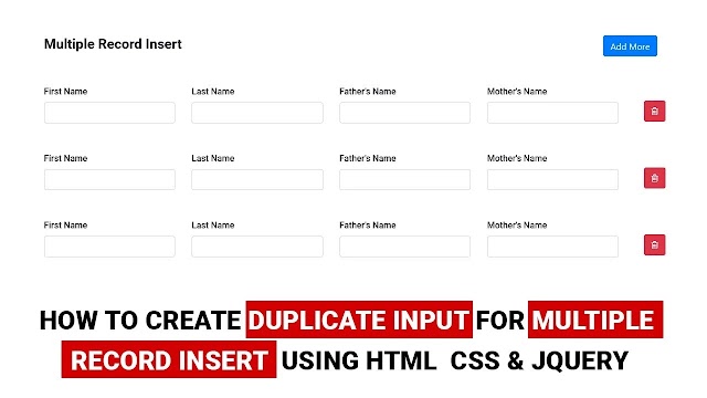 How To Create Duplicate Input For Multiple Record