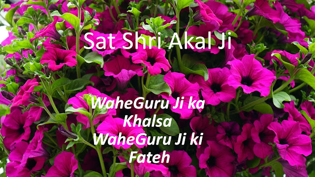 Good Morning,Sat Shri Akal Ji , Ram Ram Ji , Happy Sunday