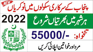 School Education Department Punjab Jobs 2022 Advertisement - School Education Department Punjab Jobs 2022 Application Form Online