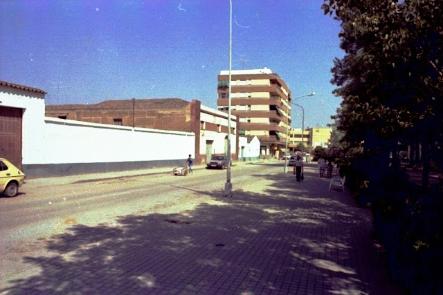 Avenida de la Paz de Almendralejo