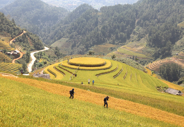 Mù Cang Chải, Yên Bái 