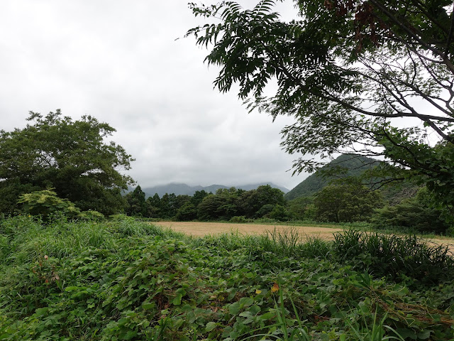 鳥取県道305号線大山佐摩線