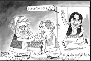 daily newspaper cartoon pakistan