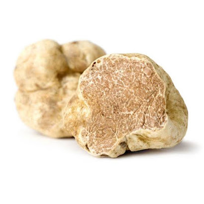 One of the most expensive foods in the world is Italian White Truffle.