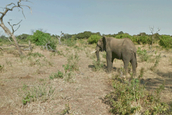 New Botswana Together With Canada On Street View