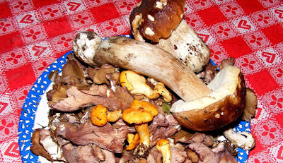 Funghi misti.