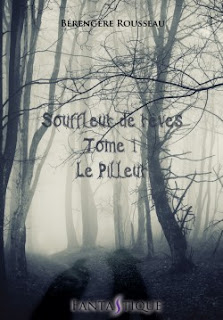 http://lesreinesdelanuit.blogspot.be/2016/04/souffleur-de-reves-t1-le-pilleur-de.html