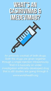 What is casirivimab