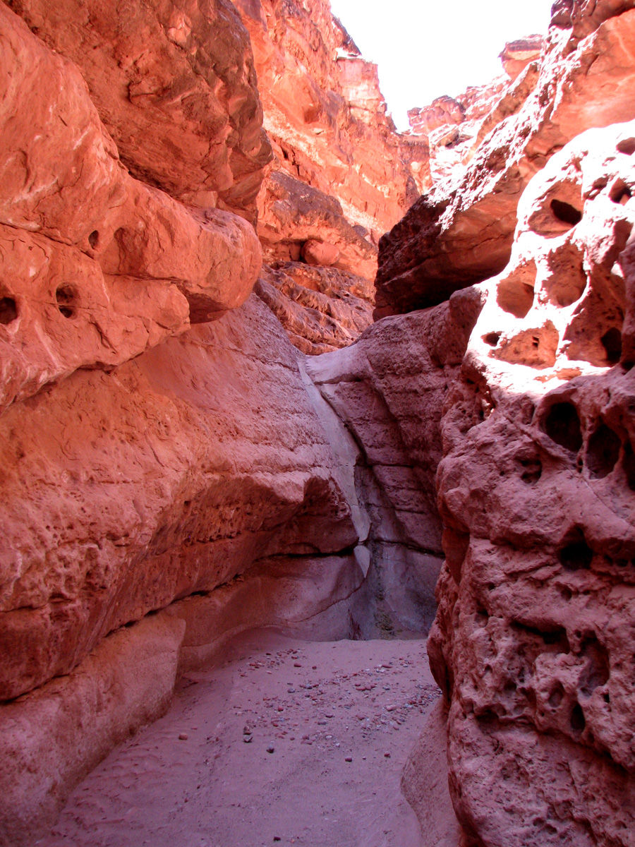 20 carved overflow