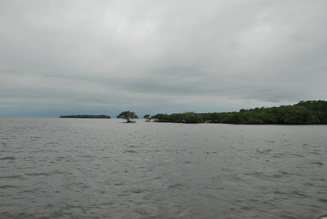Everglades National Park's Ten Thousand Islands