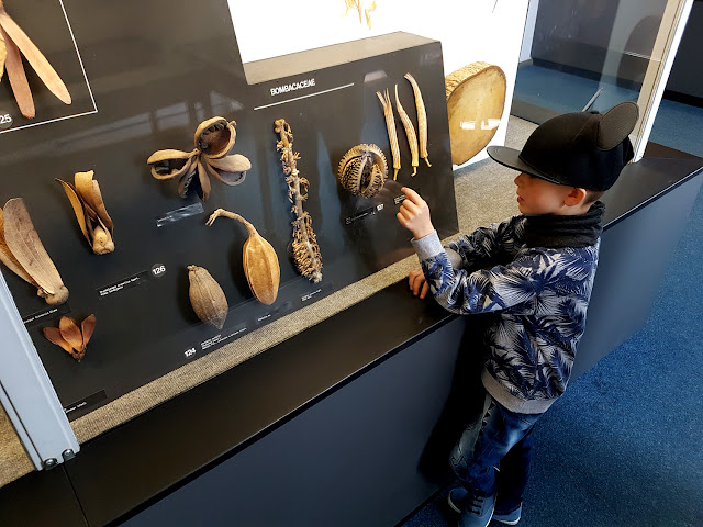 atrakcje dla dzieci we Wrocławiu - Dolny Śląsk z dzieckiem - podróże z dzieckiem - Muzeum Przyrodnicze we Wrocławiu - Muzeum Przyrodnicze Uniwersytetu Wrocławskiego - Świat roślin - Świat zwierząt - Świat owadów - Układ kostny kręgowców -  