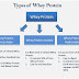 Different Types Of Whey Protein- Processing on Quality
