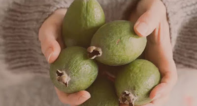 10 Benefits of Feijoa Fruit - Nutritional and Health Benefits