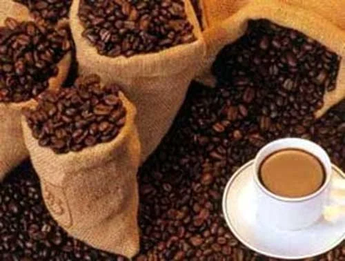 kumpulan sejarah kopi luwak