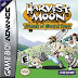 Harvestmoon Friends of Mineral Town + More Friends of Mineral Town (PC Version) 