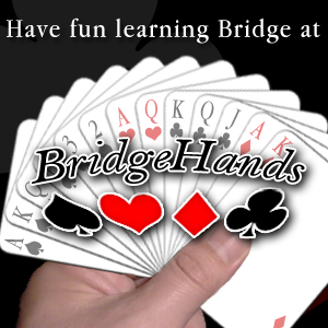 Bridge Hands2