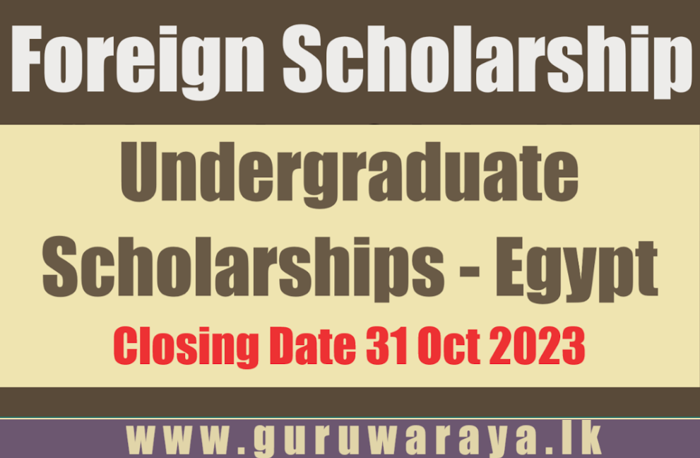 Undergraduate Scholarships - Egypt 
