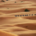 Sahara Desert | Tourist Attractions in Algeria | Travel in Africa