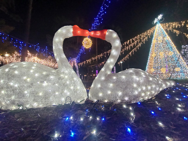 台中沙鹿南勢溪公園聖誕節燈飾，聖誕樹燈海隧道，海線公園賞燈趣