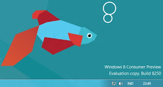 Cara Edit Dan Menghilangkan Watermark Windows 8 Consumer Preview