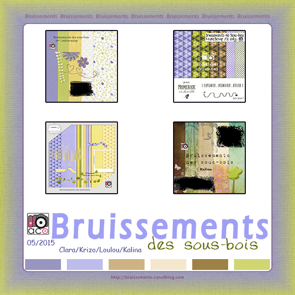 http://bruissements.canalblog.com/