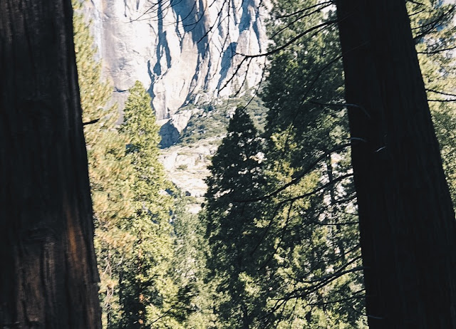 Yosemite | traveling off the beaten path | unique travel experiences | creating a different travel experience | camping in the wild | camping packing tips | camping tips 